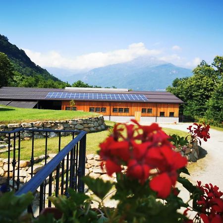 Agriturismo La Ca' D'Amelio Lessolo Extérieur photo