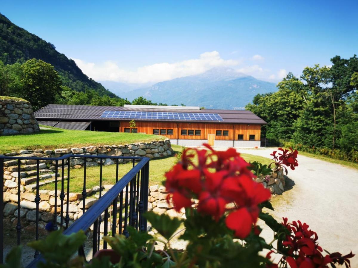 Agriturismo La Ca' D'Amelio Lessolo Extérieur photo
