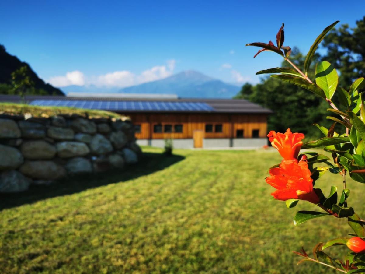 Agriturismo La Ca' D'Amelio Lessolo Extérieur photo